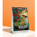 Red Soil Robusta