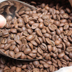 The Phinist Vietnamese Coffee Complete Kit