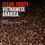 Highland Mist Arabica