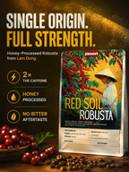 Red Soil Robusta